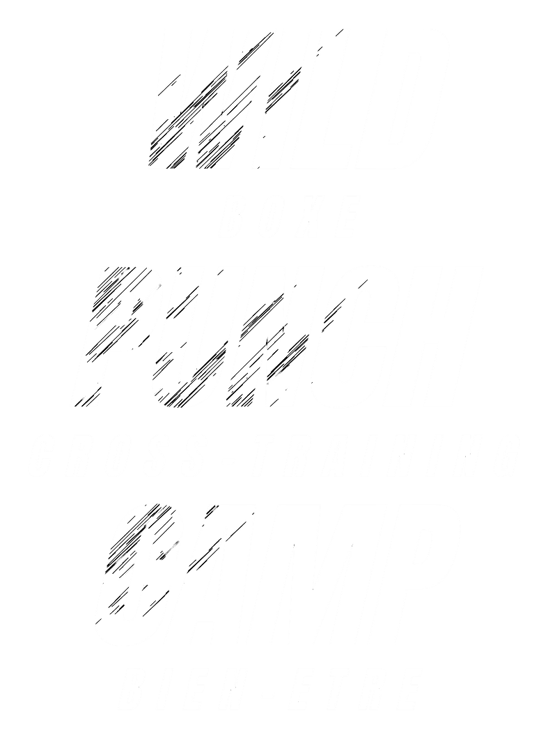 Wild Punch Camp Logo